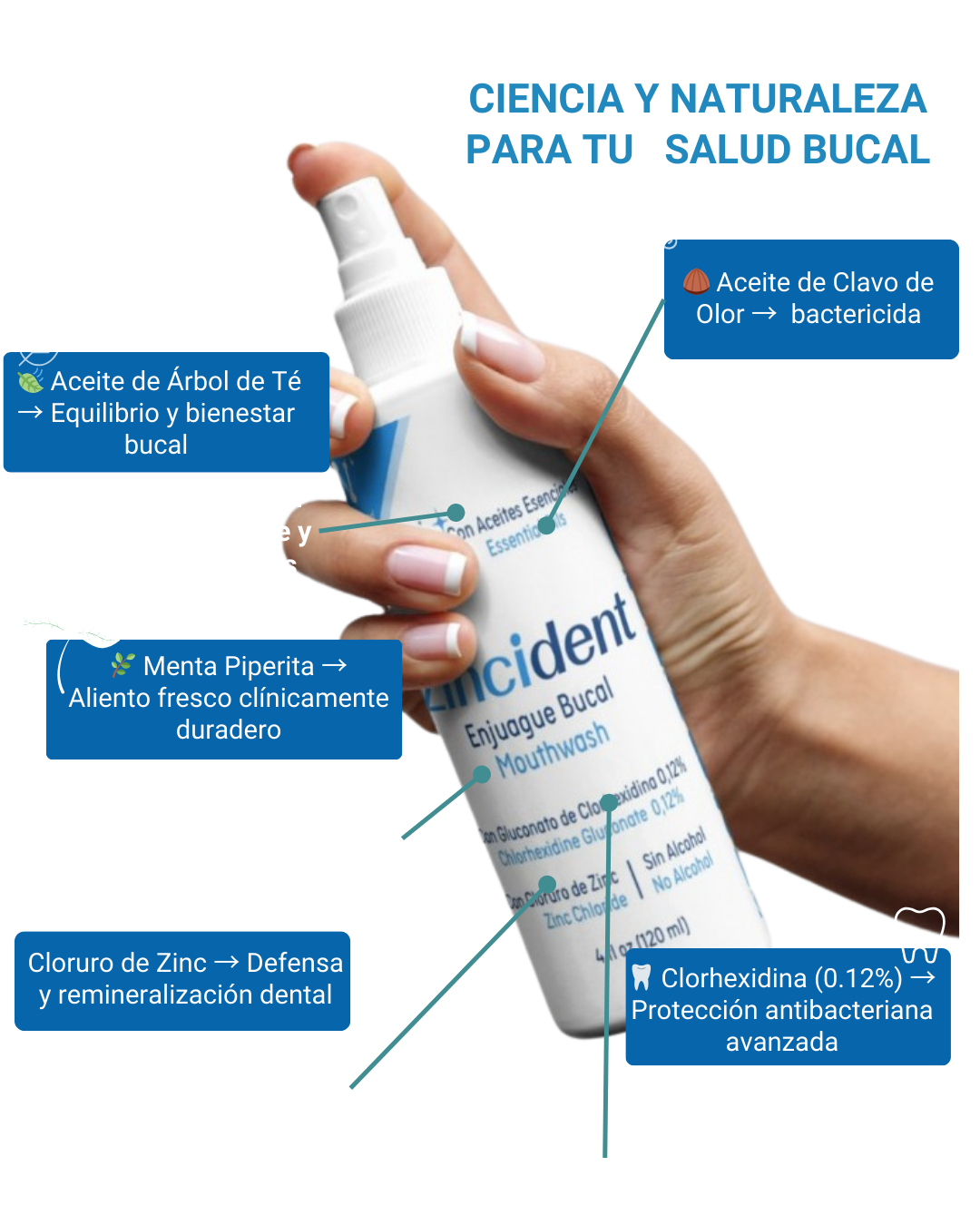 Producto Zincident